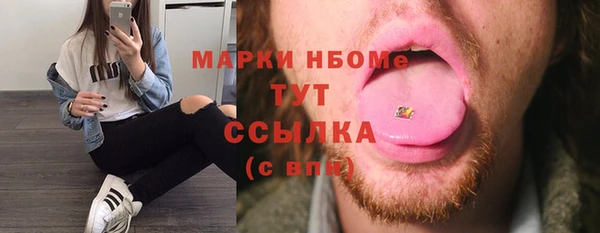 ПСИЛОЦИБИНОВЫЕ ГРИБЫ Арсеньев