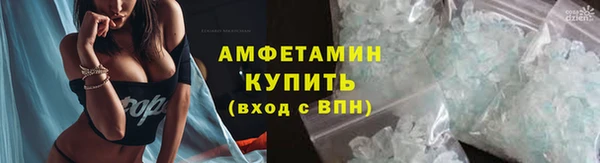 ПСИЛОЦИБИНОВЫЕ ГРИБЫ Арсеньев