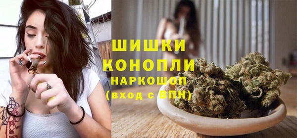 ПСИЛОЦИБИНОВЫЕ ГРИБЫ Арсеньев