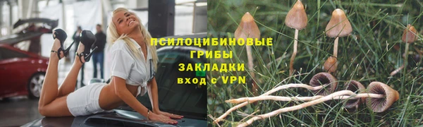 ПСИЛОЦИБИНОВЫЕ ГРИБЫ Арсеньев